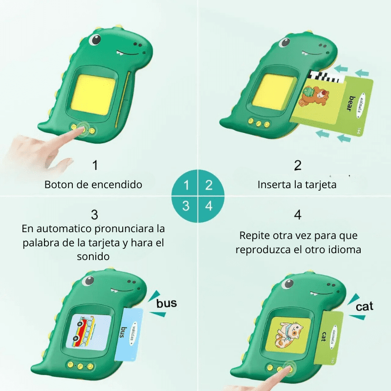 Lector Didactico de Tarjetas